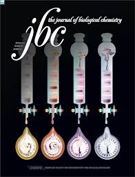 Relationships monday, june 29 tamar on leaving an abusive relationship as a young woman, tamar braxton says she struggled to leave a man who was both mentally and physical abusive. Table Of Contents Page Journal Of Biological Chemistry