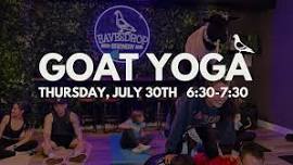 Goga: Goat Yoga at Eavesdrop!