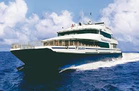 Image result for Salacia