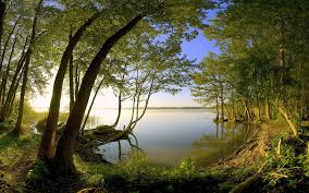 Optimized 1080x1920 vertical hd images for mobile devices — phones and tablets 2224x2224. Wallpapers On Nature Beauty Group 83