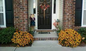 Just make sure the tags read garden mum and also they fit your usda zone, which should be listed on the back of the pot tag. These Mums Come Back Every Year Started With 50 Plants At End Of Season Plants Garden Seasons