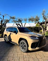 Image result for Arizona Beige 2025 Fleet