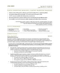 Digital Marketing Manager Free Resume Samples Blue Sky Resumes