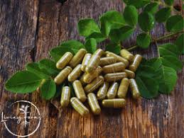 Image result for Cryptolepis oblongifolia