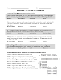 Name __ Date Homework The Function Of Biomolecules Answer