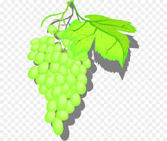 See 2 authoritative translations of albaricoque in english with example sentences and audio los albaricoques que compramos en la frutería estaban muy dulces.the apricots we bought at the. Uva La Fruta Ingles Imagen Png Imagen Transparente Descarga Gratuita