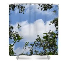 Tree Top Park Davie 24 Poster by Dick Sauer