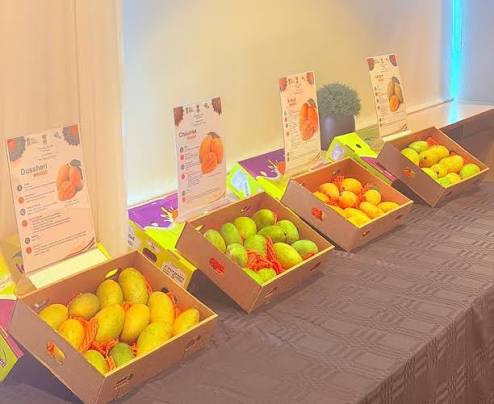 India premium mango exports Iceland