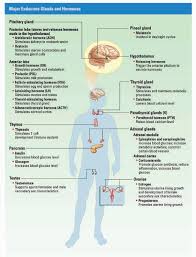 Anatomy Physiology