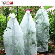 Gardener's supply is america's number one resource for gardening. Pop Up Tomato Plant Protector Serves As A Mini Greenhouse To Accelerate Growth Buy Tomato Accelerator Pop Up Tomato Accelerator Mini Greenhouse Product On Alibaba Com