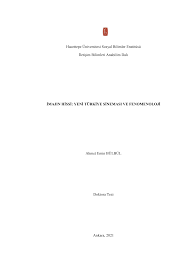 Hacettepe Üniversitesi Sosyal Bilimler Enstitüsü İletişim Bilimleri  Anabilim Dalı İMAJIN HİSSİ: YENİ TÜRKİYE SİNEMA