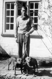 Staffordshire Bull Terrier » JaneDogs