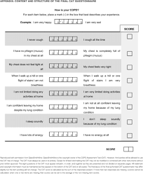 Image result for COPD Assessment Test