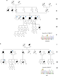 Variable Expressivity And Genetic Heterogeneity Involving Dpt And Sema3d Genes In Autosomal Dominant Familial Meniere S Disease European Journal Of Human Genetics