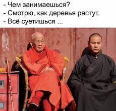 суета / смешные картинки и другие приколы: комиксы, гиф анимация, видео,  лучший интеллектуальный юмор.