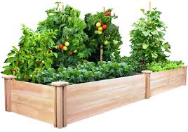 That way, many gardeners can harvest three. Raised Vegetable Garden Beds Let S Grow Vegetables