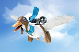 As such, an aflac auto policy may only be purchased as an addition to insurance from a typical carrier. Aflac Trout Insurance Services