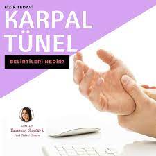 ref pano panosundaki pin