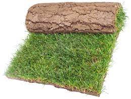 A surface layer of earth containing a dense growth of grass and its matted roots; Turf Definition Und Bedeutung Collins Worterbuch
