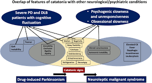 Image result for Echophenomena