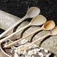 Spoon Carving for Beginners event image