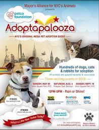 We host several events throughout the year. Adoptapalooza Prospect Park Public Hosted By Ruff House Rescue Ny And Petco Petfinder Event Calendar