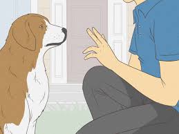 Image result for invalid dog wheelset