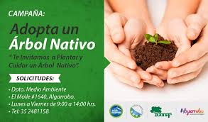 El 28 de junio es el día mundial del árbol.el porqué de la fecha no está claro. Algarrobo Digital Algarrobo Celebra El Dia Mundial Del Arbol