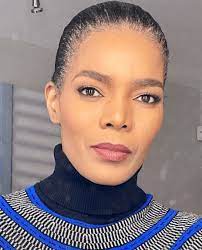 Actress, producer, model, investor, businessperson: Connie Ferguson Biography Age Career Shona The River Net Worth
