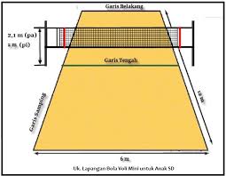 Demikian pembahasan mengenai ukuran lapangan bola voli dan ukuran net (gambar + keterangan), semoga bisa menambah wawasan. Ketahui Standar Ukuran Lapangan Bola Voli Dan Jumlah Pemainnya Pengadaan Eprocurement