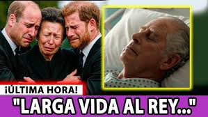 Rosa arbildo perales