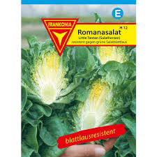We have many active and knowledgeable editors, and two admins who are ready to help. Romanasalat Salatherzen Little Tintin 1 99 Online Kaufen