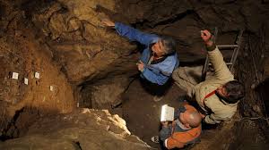 What few denisovan remains have been found have dated from 100,000 to 50,000 years ago. Denisovan Skull Piece Confirmed Sapiens