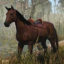 Horse Rust Labs