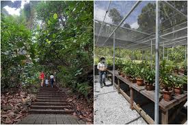 Note that although it is still called. Two New Parks In Bukit Batok To Be Part Of Nature Corridor Connecting Central Catchment And Tengah Singapore News Top Stories The Straits Times