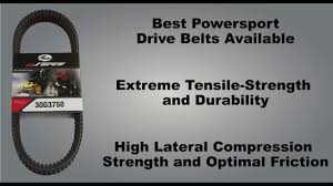 Use an automotive belt cross reference chart to cross reference dayco belts. Drive Belts Gates Atv Utv Drive Belts Dayco Atv Utv Drive Belts Snowmobile Drive Belts Sixity Com