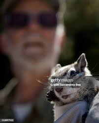 66 Randy Upper Photos & High Res Pictures