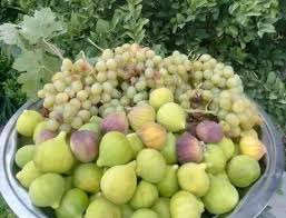 العنب والتين فواكه الصيف 😋😋