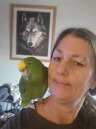 Conure parrot for sale in Quinton Alabama