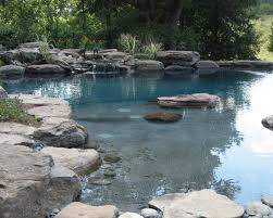Natural Pool Design Ideas Pictures Remodel And Decor Natural Swimming Pools Natural Swimming Ponds Swimming Pool Designs