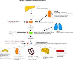 Angiotensin Ii Receptor Blocker Dosing Chart