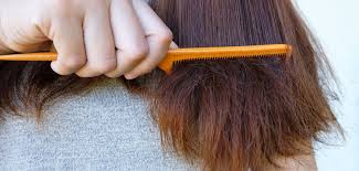 Nos Cinq Idees Diy Pour Hydrater Vos Cheveux Cheveux Fourchus Masque Cheveux Cheveux Secs