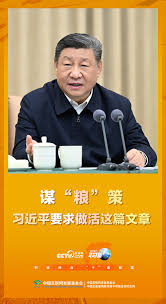 联播+｜谋“粮”策习近平要求做活这篇文章-新闻-北国网