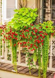 Epingle Sur Jardin