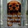 Weißer sonntag (sonntag nach ostern an dem in der katholischen kirche die erstkommunion stattfindet; Https Encrypted Tbn0 Gstatic Com Images Q Tbn And9gcrtk1dcev99vt Hxz 9xi0js5mjyi5kzs3nunigdt4 Usqp Cau