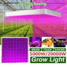 The led grow light distance above the clones differs from the height required for seedlings. Buy 8000w Led Grow Light Hydroponic Full Spectrum Indoor Plant Flower Growing Bloom At Affordable Prices Free Shipping Real Reviews With Photos Joom