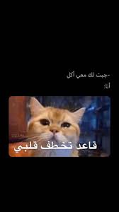 اكسبلور صور افتار افتارات رمزيات رمزيات بنات ستوريات سنابات صور بنات بنات اسئلة ستوري Funny Photo Memes Arabic Funny Funny Arabic Quotes
