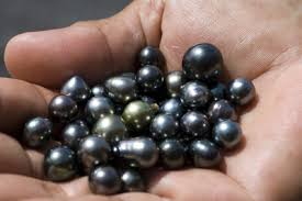 Tahiti Pearls How To Buy Pearls Color Shape Quality Size