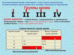 может ли группа крови ребенка отличаться от группы крови родителей Samaya Opasnaya Gruppa Krovi Uchenye Preduprezhdayut Opasnye Gruppy Krovi Sushestvuyut