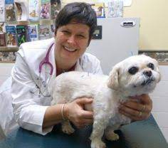 We are providing car based concierge service from our parking lot with minimal person to person contact. 24 Our Thoughts Ideas Animal Hospital Pets Valley Cottage